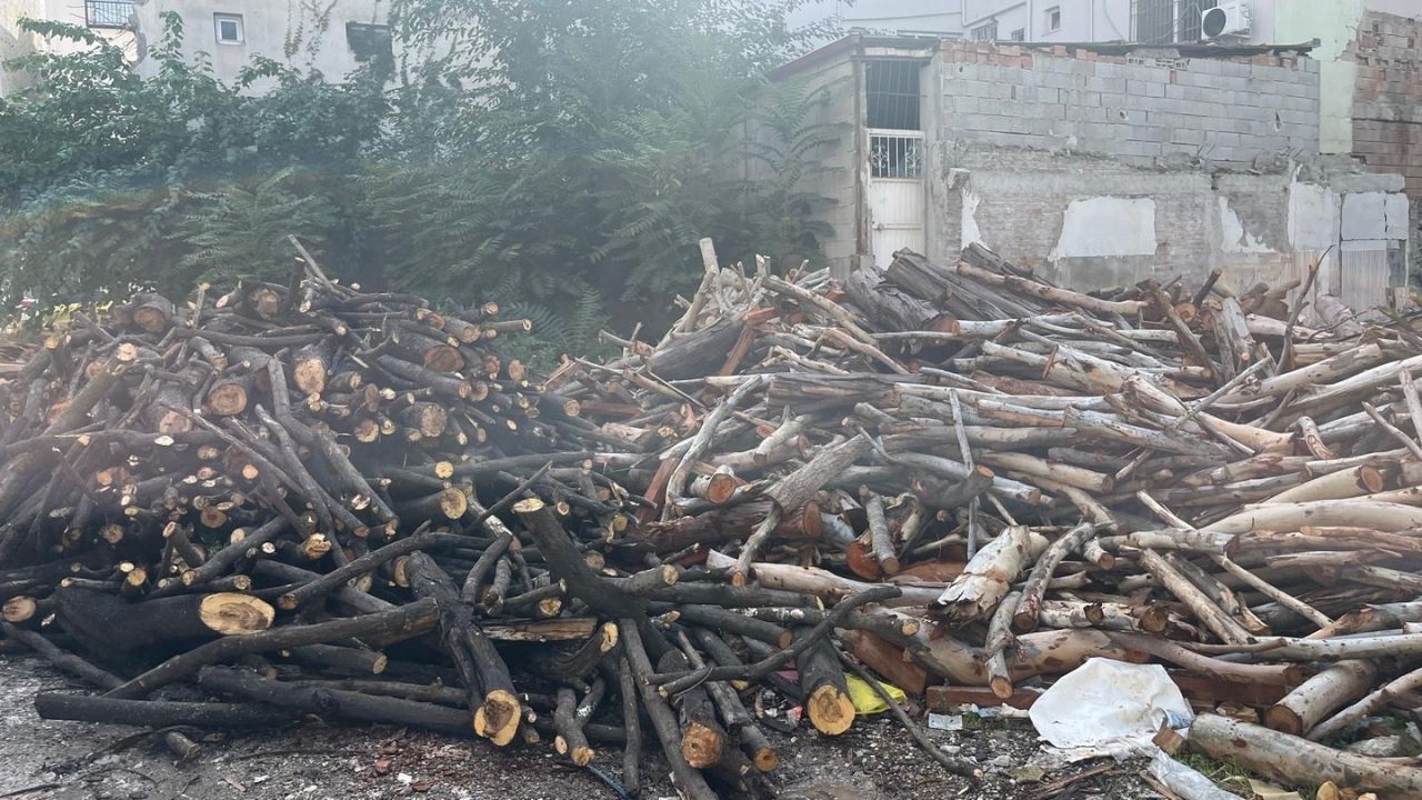 Osmaniye'de Vatandaş Parayla Değil Kas Gücüyle Kışa Hazırlanıyor (3)