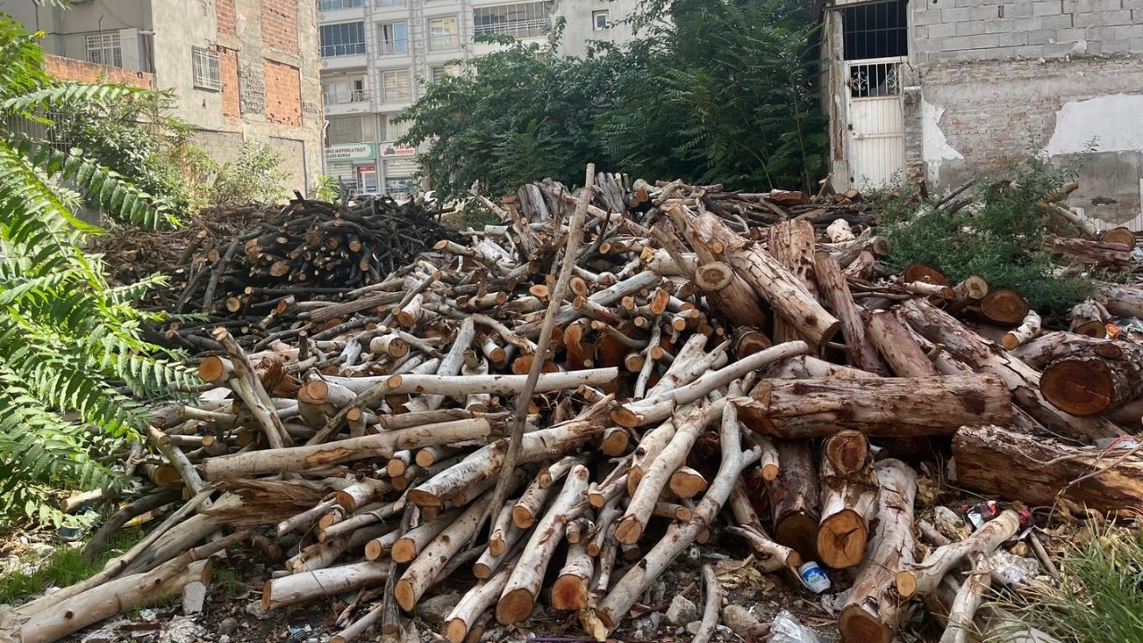 Osmaniye'de Vatandaş Parayla Değil Kas Gücüyle Kışa Hazırlanıyor