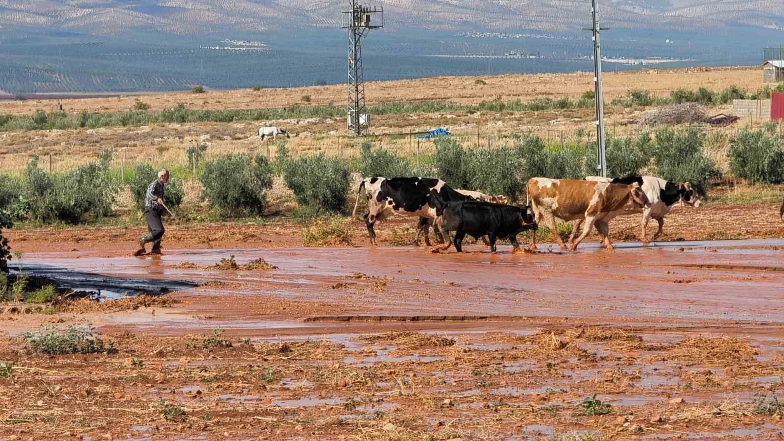 Reyhanlı'da Etkili Olan Şiddetli Yağış Sel Felaketine Neden Oldu (1)
