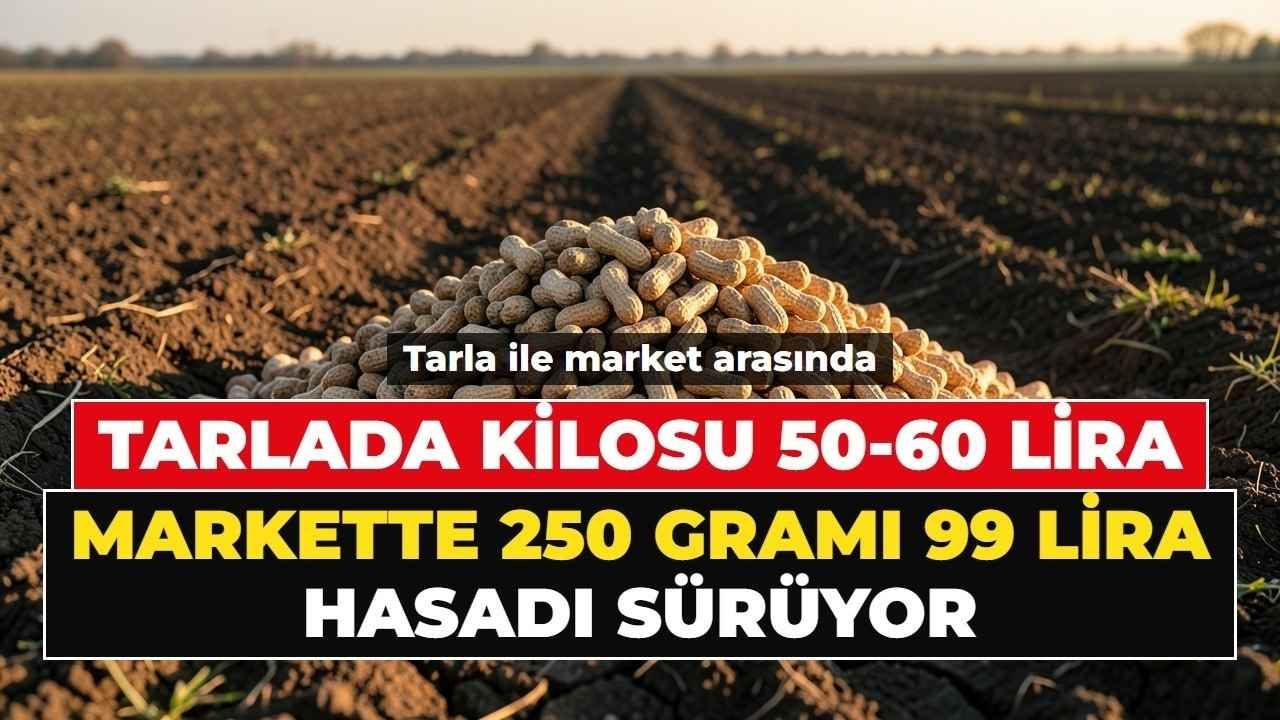 Osmaniye'de hasat başladı: Tarlada 60, markette 400 lira