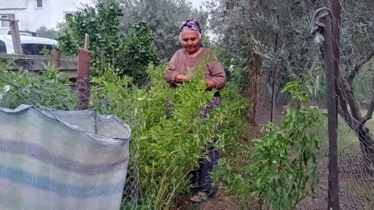 Toprakkale’de 67 Yaşındaki Döndü Teyze Doğal Yaşamıyla Örnek Oluyor (1)
