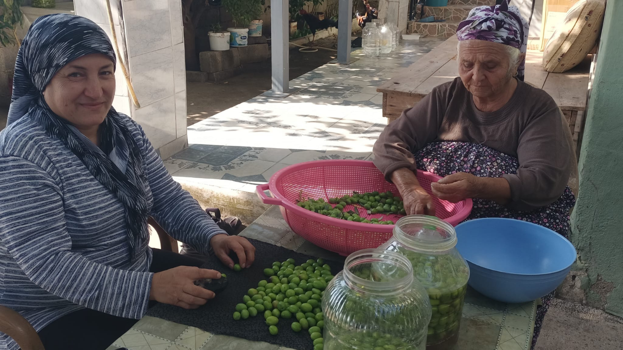 Toprakkale’de Kış Hazırlığı! Avlularda Zeytin Kırma Mesaisi Başladı (2)