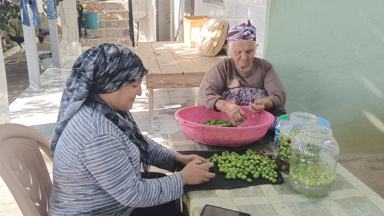 Toprakkale’de Kış Hazırlığı! Avlularda Zeytin Kırma Mesaisi Başladı